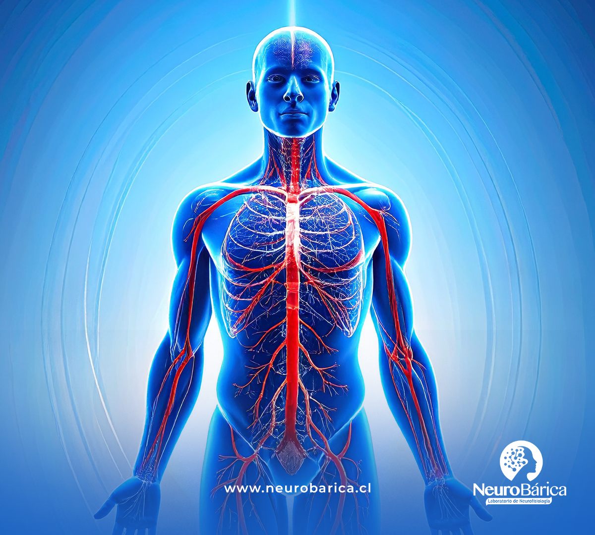 La Oxigenoterapia Hiperbárica En Procesos Biológicos